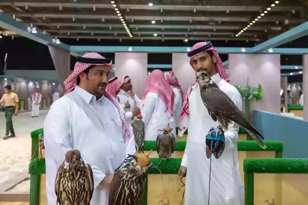 نادي الصقور السعودي يعلن انطلاق سباق الملواح في الرياض