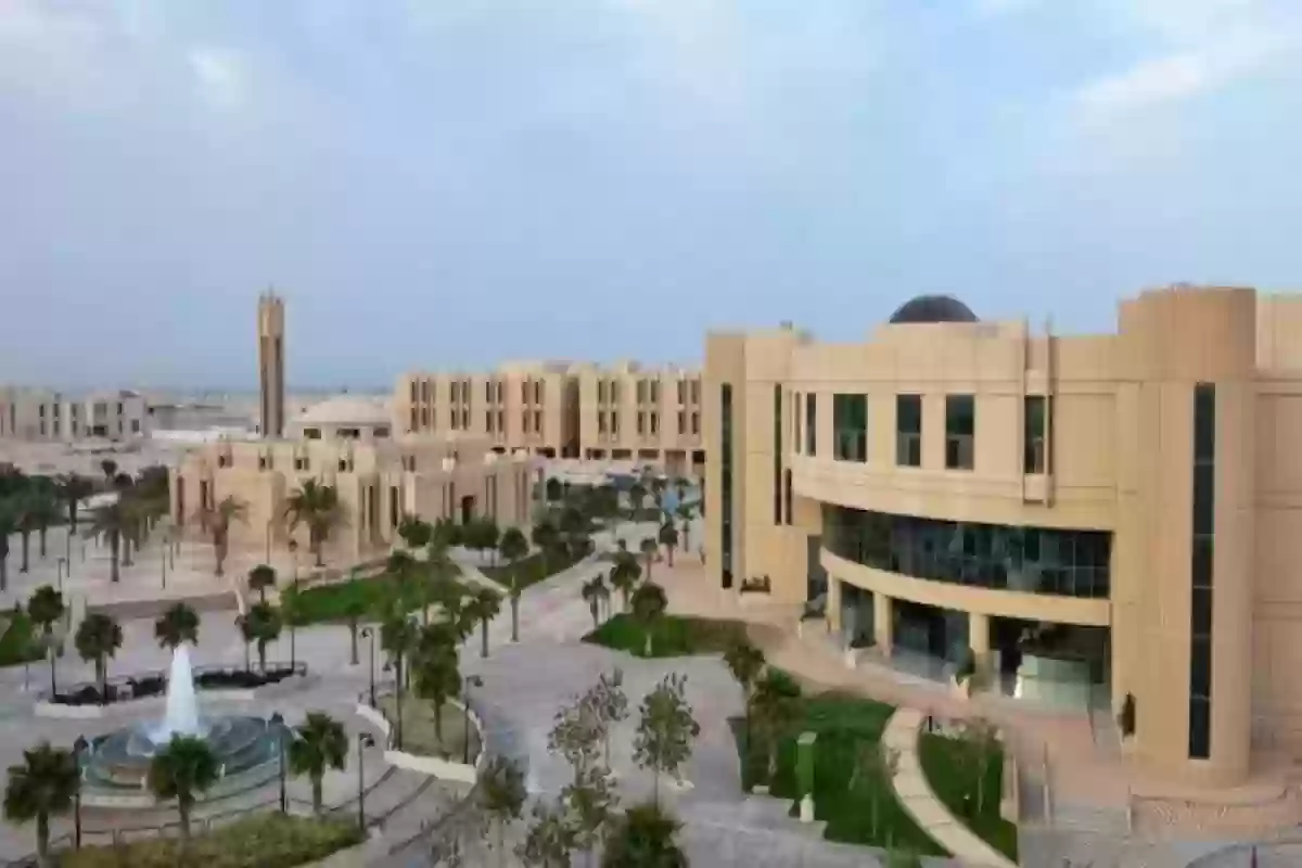 التخصصات المتاحة في جامعة الإمام عبدالرحمن بن فيصل ونسب القبول