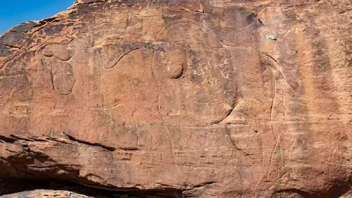 عمرها 11 ألف عام!! منحوتات غامضة في صحراء السعودية