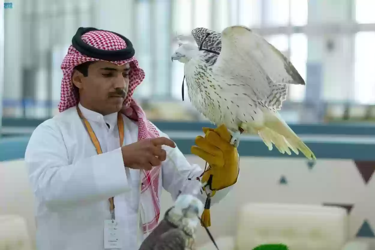معرض الصقور والصيد السعودي الدولي يشهد تفاعل الزوار