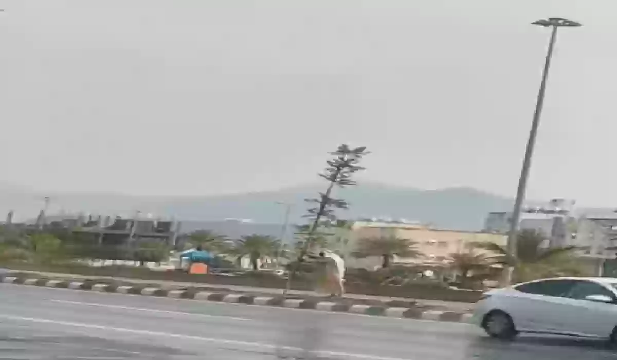 بالفيديو.. مواطن يقوم بتثبيت شجرة سقطت بسبب الرياح والأمطار في إحدى مدن المملكة