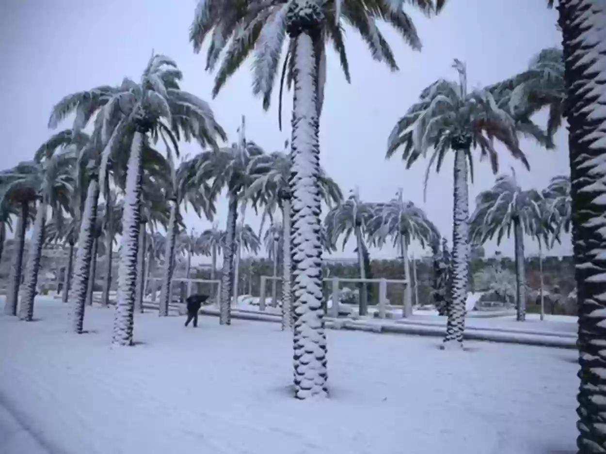 مركز الأرصاد تساقط الثلوج على مناطق بالسعودية 