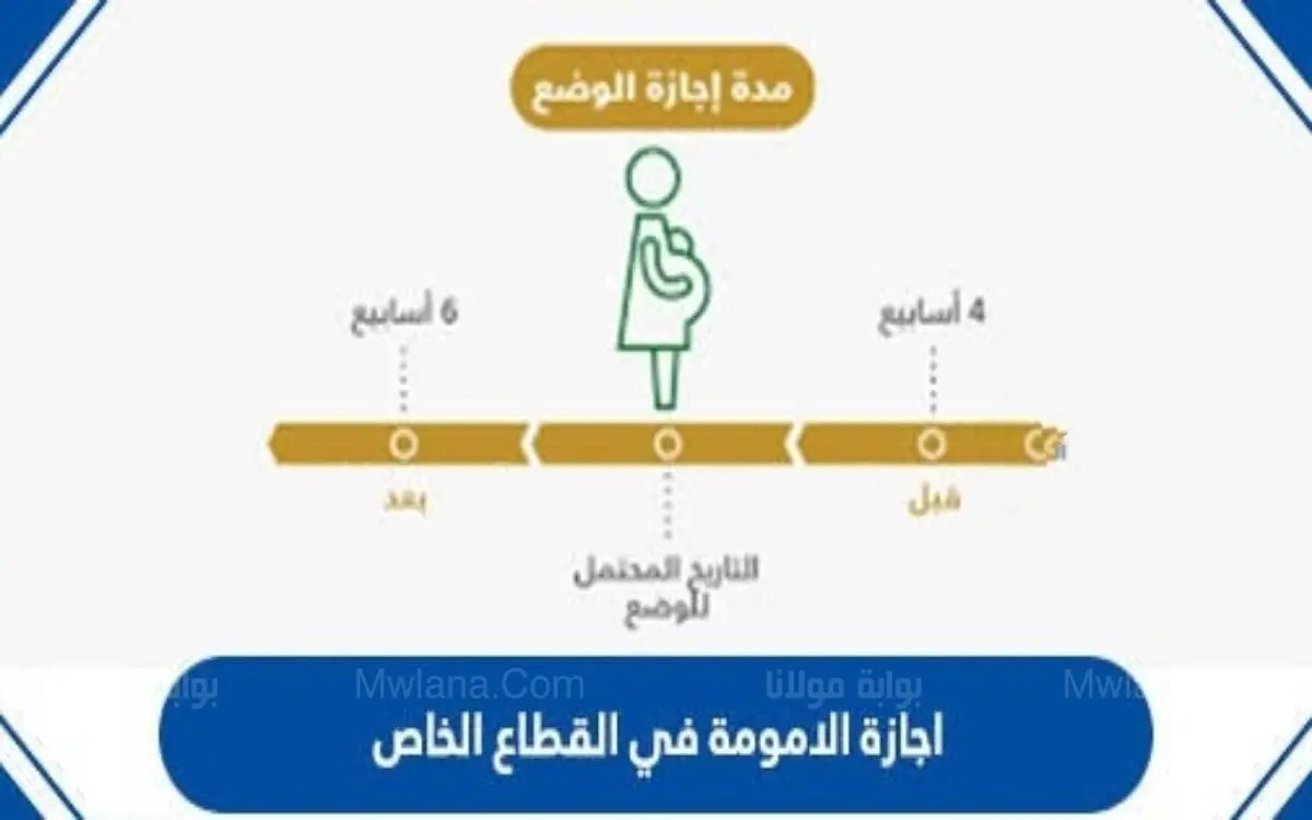 إجازة الأمومة في القطاع الخاص بالقانون السعودي 1444