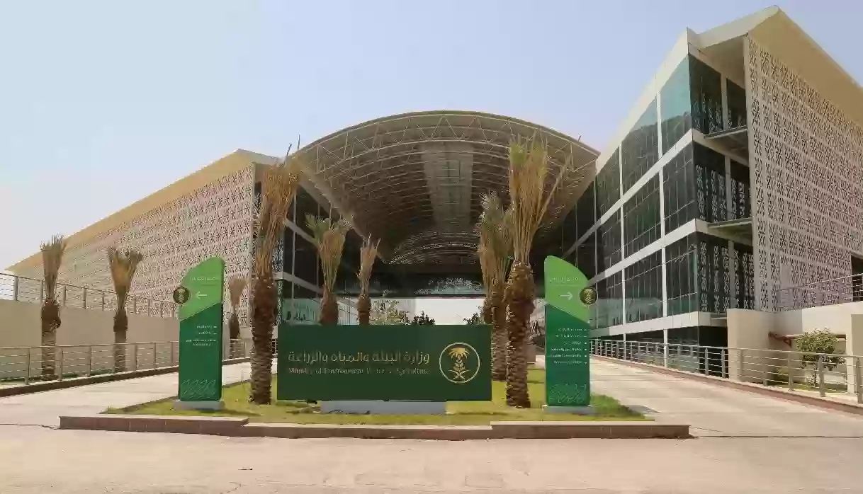 وزارة البيئة والمياه والزراعة تفتح بوابات السد في السعودية