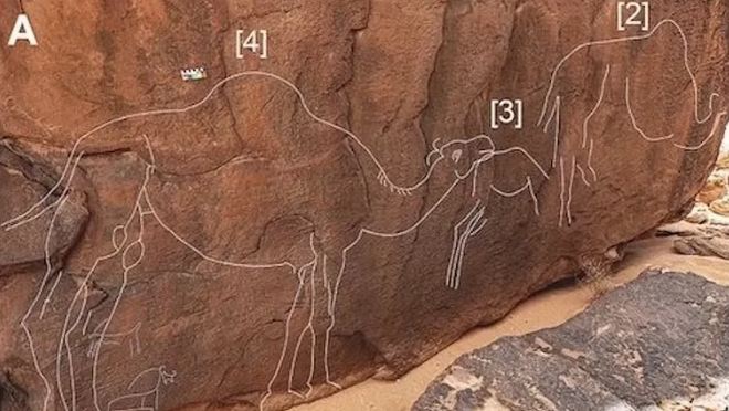 عمرها 11 ألف عام!! منحوتات غامضة في صحراء السعودية.. هل يتم اكتشاف حضارة أقدم من الفراعنة؟
