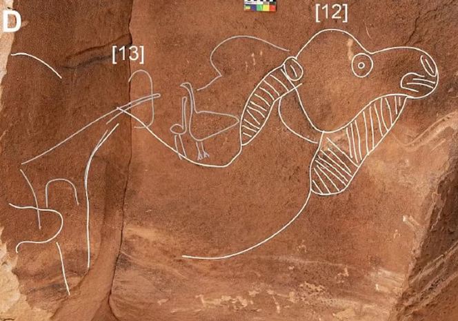 عمرها 11 ألف عام!! منحوتات غامضة في صحراء السعودية.. هل يتم اكتشاف حضارة أقدم من الفراعنة؟